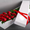 Classic roses in the white box

Dozen or two dozen (deluxe)