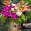 Mix Arrangement 