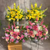Bright color basket come in 4 basket. 

Standard size : 2 basket.
Deluxe
