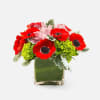 [ Height: 9&#039;&#039; - 10&#039;&#039; | Diameter: 9&#039;&#039; - 10&#039;&#039; ]Striking red