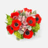 [ Height: 9&#039;&#039; - 10&#039;&#039; | Diameter: 9&#039;&#039; - 10&#039;&#039; ]Striking red