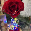 Eternal Royalty Roses Especial Gold Edition from The Movie The Beauty and
