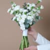 A delicate and elegant bridal bouquet featuring lush carnations blooms, perfect for