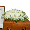 Our Pure Serenity Casket Spray is a heartfelt tribute designed to honor