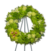 Our Tranquil Oasis Wreath is a breathtaking floral sympathy arrangement that offers