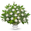 Celebrate a life well-lived with our exquisite Wings of Peace Urn. Crafted