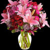 Soft, soothing shades of lavender contrast quietly with the hot pink and
