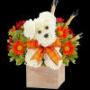 Our one-sided 3D Fall for You Puppy arrangement is a true delight.