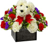 Give them a case of puppy love with our very own Love