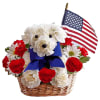 Unleash smiles with a Yankee Doodle Puppy. Whether it&rsquo;s to honor a