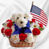 Unleash smiles with a Yankee Doodle Puppy. Whether it&rsquo;s to honor a