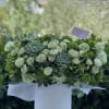 Spring box with green garden roses ,succulents and greenery