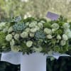 Spring box with green garden roses ,succulents and greenery