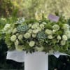 Spring box with green garden roses ,succulents and greenery