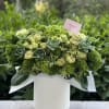 Spring box with green garden roses ,succulents and greenery