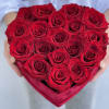 Box N.31 Gorgeous red roses in a velvet box