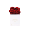 Rose Color: Red
Rose Count: 4 Preserved Rose
Lifespan: 1 Year+

Box Dimensions: 4&quot; x