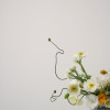 - Whimsical flower arrangement in airy whites, yellows, and greens
- Bright and