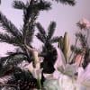STICKY BANDITS COLLECTION 24&#039;

-Timeless beauty with a calming, understated elegance
-Perfect for adding