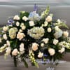 Snapdragon, Rose, carnation Delphenion