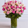 Give the ultimate WOW with a gift of floral luxury. We&rsquo;ve gathered