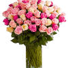 Give the ultimate WOW with a gift of floral luxury. We&rsquo;ve gathered