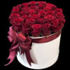 Red roses are beautifully arranged in a white cylinder box. Have them