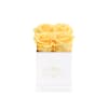 Rose Color: Yellow
Rose Count: 4 Preserved Rose
Lifespan: 1 Year+

Box Dimensions: 4&quot; x