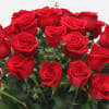 [ Height: 26&#039;&#039; - 28&#039;&#039; | Diameter: 24&#039;&#039; - 25&#039;&#039; ]
A truly