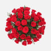 [ Height: 26&#039;&#039; - 28&#039;&#039; | Diameter: 24&#039;&#039; - 25&#039;&#039; ]
A truly
