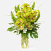 [ Height: 20&#039;&#039; - 21&#039;&#039; | Diameter: 13&#039;&#039; - 14&#039;&#039; ]
Whether you&rsquo;re