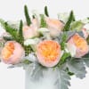 [ Height: 14&#039;&#039; - 16&#039;&#039; | Diameter: 9&#039;&#039; - 11&quot; ]
Blushing garden