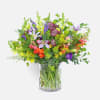 [ Height: 13&#039;&#039; - 14&#039;&#039; | Diameter: 13&#039;&#039; - 14&#039;&#039; ]
A lush