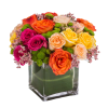 A full-color explosion, Kaleidoscope by BloomNation&trade; is a beautiful gift for anybody