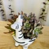 Giraffe in love, design with mini natural succulents that you can put
