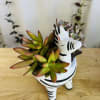 Giraffe in love, design with mini natural succulents that you can put