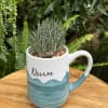 A living succulent selected and grown to complement a mug about 4