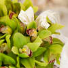 Bloom5Cymbidium orchid pot
