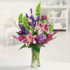 Our freshest collection of &#039;Stargazer&#039; lilies, bells of Ireland, irises and more.
