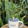 A living succulent selected and grown to complement a mug about 4