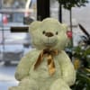 Plush white bear wears a brown bow around his neck with a