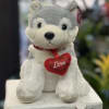 A cute and soft husky puppy with a red heart collar.