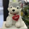 A cute and soft husky puppy with a red heart collar.