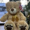 Plush light brown bear wears a gold bow around his neck with