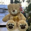 Plush light brown bear wears a gold bow around his neck with