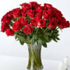 50 long stem red rose bouquet.  Perfect for Birthday, Anniversary, or