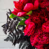 A modern ceramic vase, 7 inches in diameter, filled with lush red