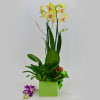 Available for customization. please specify when ordering.