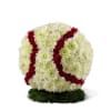 What a fantastic way to honor a true baseball fan! This sphere