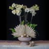 This floral design elegantly combines ethereal cream orchids with a sculptural fan